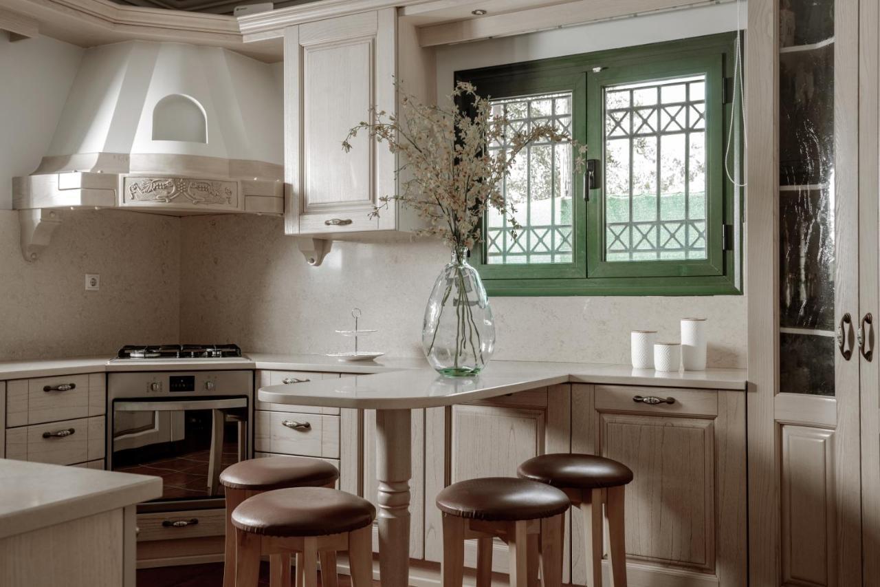 Amalthia Villa Mouzákion エクステリア 写真